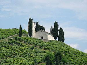 La chiesa di San Vigilio immersa nelle colline del prosecco, a Col San Martino