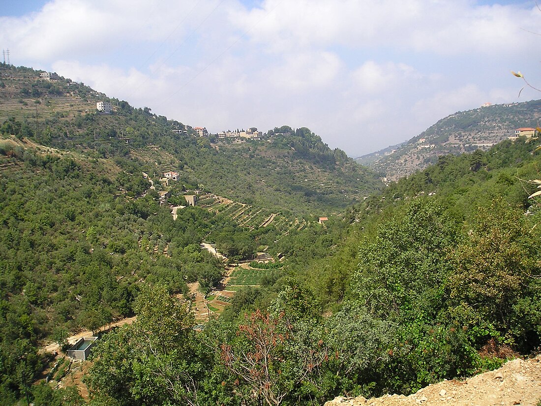 Distrikt Chouf