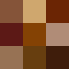 Color icon brown v2.svg