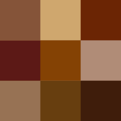 Color icon brown v2.svg