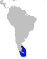 Den sydamerikanske udbredelse af Commersons delfin.