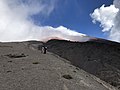 Cotopaxi Páramo