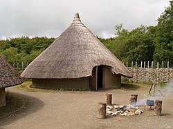 Craggaunowen Project, The Crannog - geograph.org.uk - 793400.jpg