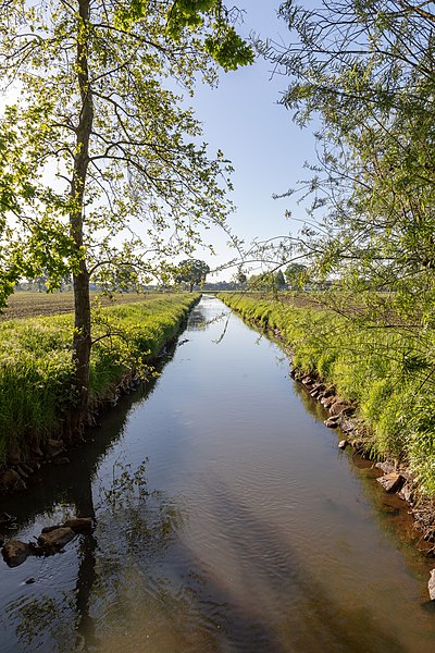 File:Dülmen, Börnste, Kettbach -- 2018 -- 2345.jpg