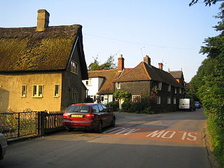 <span class="mw-page-title-main">Dane End</span> Human settlement in England