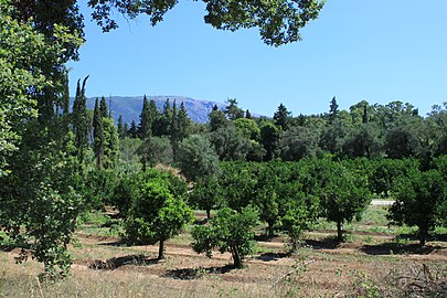 Paisagem na estrada de Gouvia para Dassia