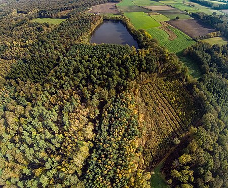 Davert Naturschutzgebiet (COE 023) Senden