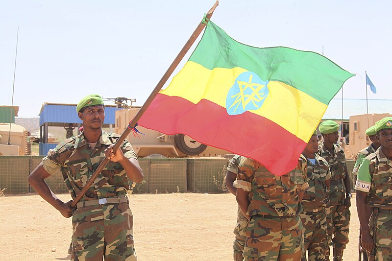 File:Djibouti President Visits Beletweyne (16622147222).jpg