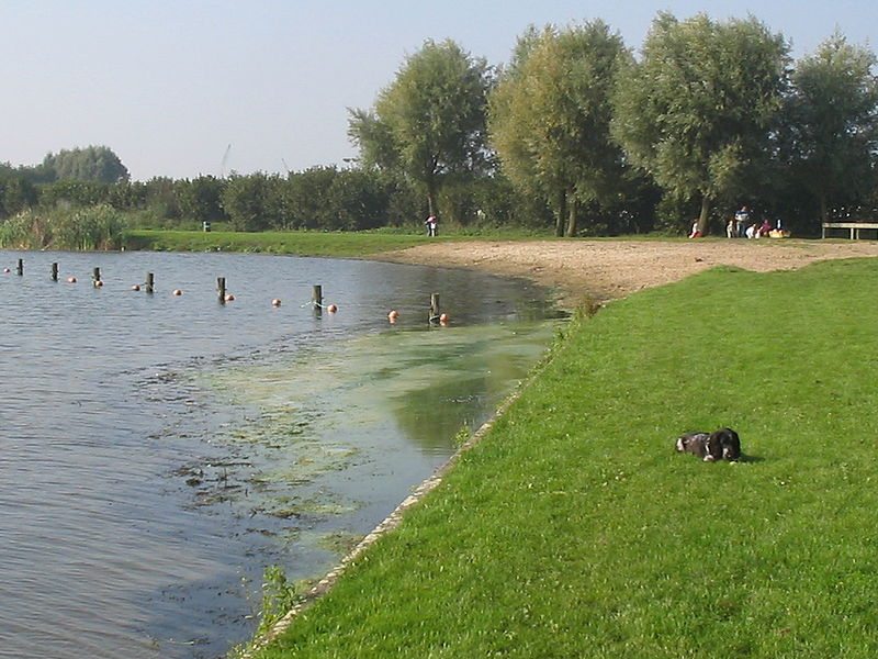 File:Dobbeplas 003.jpg