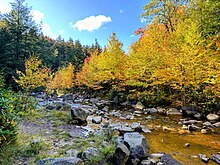 Fauna in Dolly Sods, October 2023 Dolly-sods-wilderness-2023-10 outdoors 04.jpg