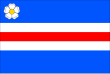 Vlag