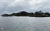 Shelter Islands dans Doubtful Sound (Nouvelle-Zélande)