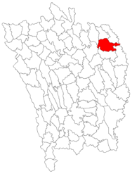 Umístění v Vaslui County