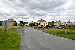 Houses on the street