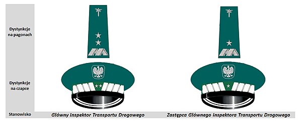 Dystynkcje Głównego Inspektora i jego zastępcy