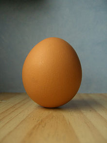 A chicken egg. Egg.jpg