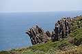 Orgues basaltiques sur la côte près de Windy Harbour (2013)