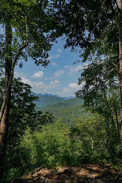 File:Erawan National Park (49798795592).jpg