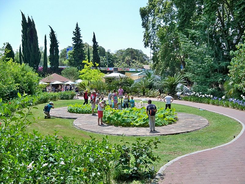 File:Estanques con lotos en el Jardín Botánico La Concepción.JPG