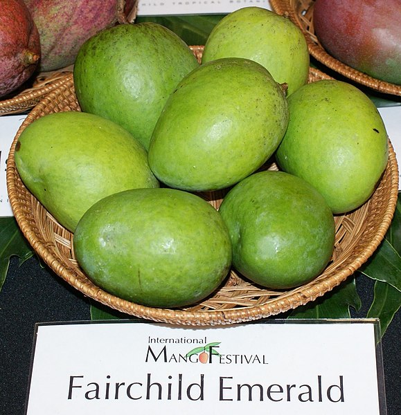 File:Fairchild Emerald mango.jpg