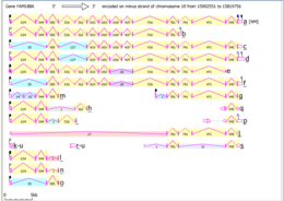 Fam188a intron exon isoforms.tiff