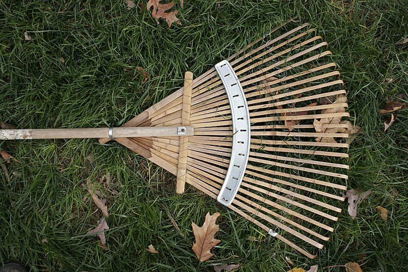 Fan-shaped leaf rake.jpg