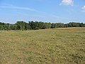 Farm in Longwood Wisconsin near Owen, Withee and Greenwood in Clark County - panoramio (6).jpg