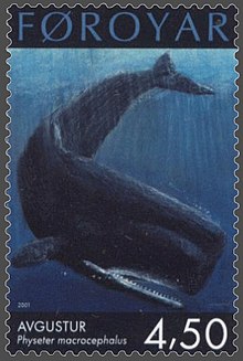 Faroe stamp 400 sperm whale (physeter macrocephatus).jpg