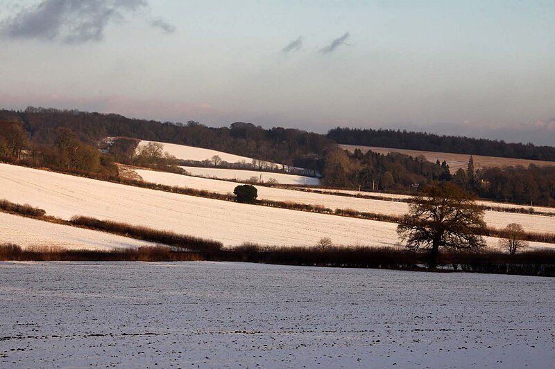 File:Fields by Hampden Bottom - geograph.org.uk - 3297274.jpg