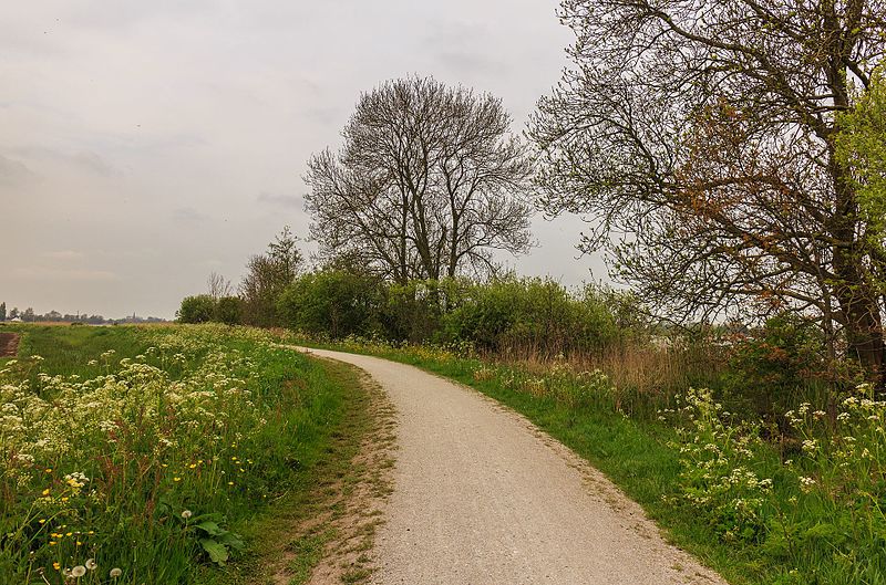 File:Fietspad om Langweerderwielen (Langwarder Wielen). Oostkant 03.jpg