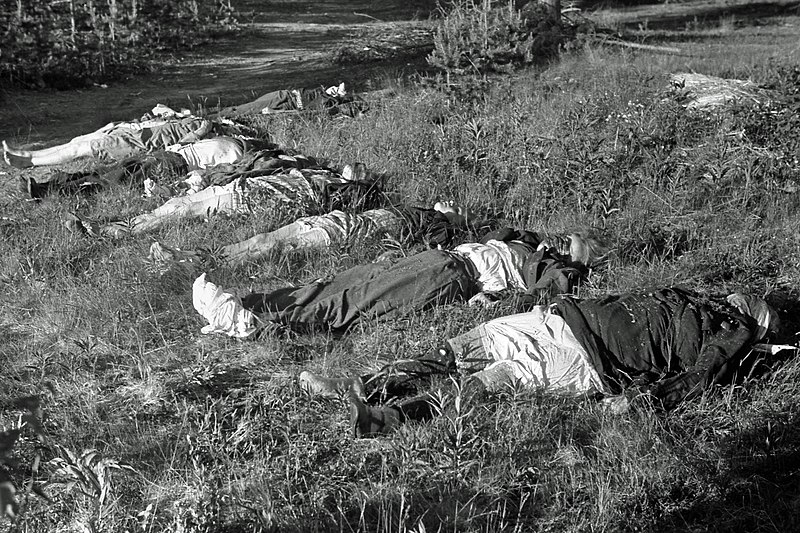 File:Finnish civilians killed by partisans in Seitajärvi on the ground.jpg