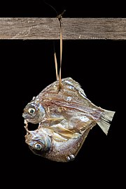 Fish hanging in the sun with black background