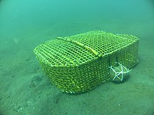 Cage trap at Lembeh Strait, Indonesia Fish trap at Lembeh Strait.jpg