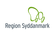 Flag of Region Syddanmark.svg