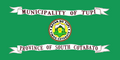 Flag of Tupi