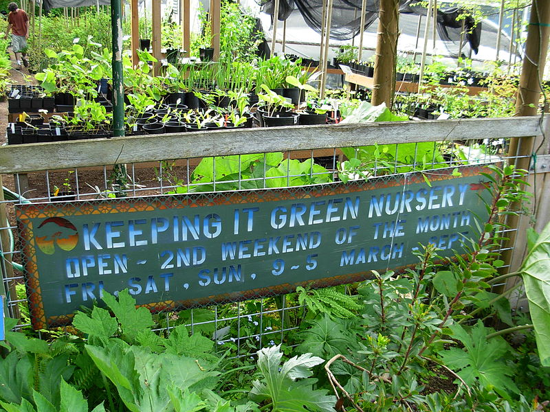 File:Flickr - brewbooks - Keeping It Green Nursery.jpg