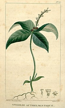 Flore medicale des Antilles, ou, Traite des plantes usuelles (9916949753).jpg