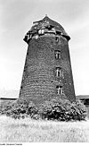 Photo library df rp-a 0260044 Elbe-Parey-Ferchland.  Turmholländer.jpg