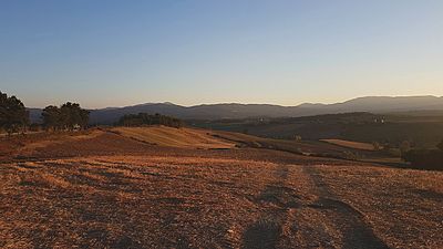 Paesaggio mugellano in estate, località Gabbiano (Scarperia).