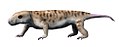 Galesaurus planiceps