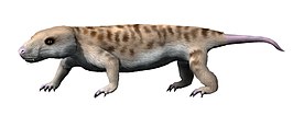 Galesaurus