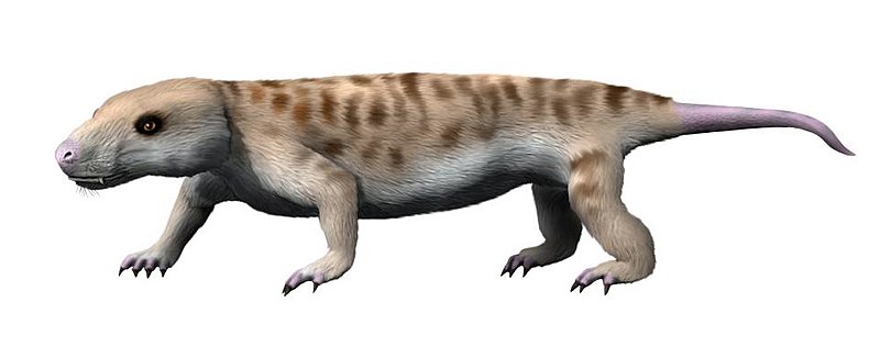 File:Galesaurus planiceps life restoration.jpg