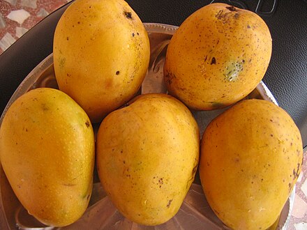 Manggo or mango
