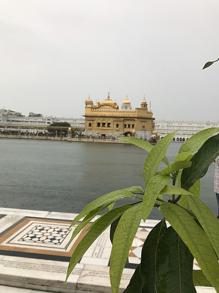 File:Golden temple during rain.jpg