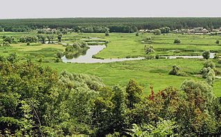 <span class="mw-page-title-main">Homilsha Woods National Nature Park</span> National park in Ukraine