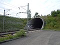 Vignette pour Tunnel du Grauholz