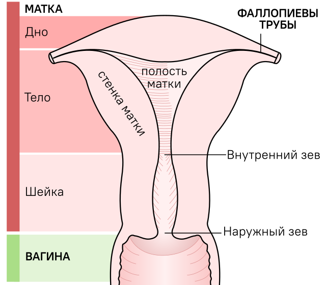 Латинские дырки