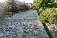 Greek street - III century BC - Porta Rosa - Velia - Italy.JPG