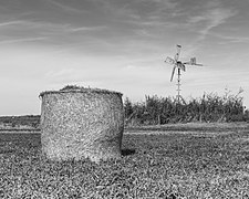 Grutte Griene, eiland in het natuurreservaat “Sneekermeer”. (d.j.b.) 09