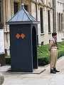 English: Guard in front of Grand Ducal Palace, Luxembourg